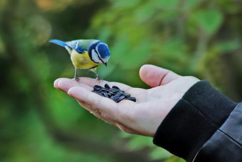 ��� ������� � ����? 