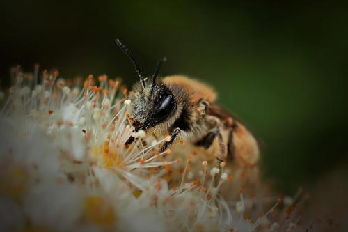 ���������. 