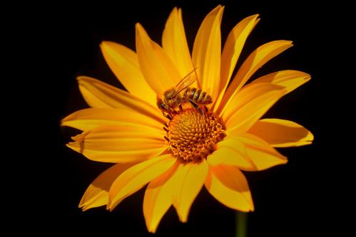 ���� � �������. 