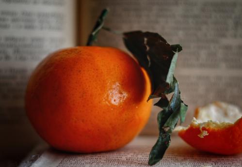 ���� �������