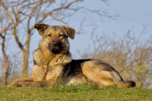 �� �������� ������