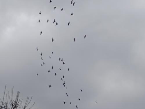 � ������