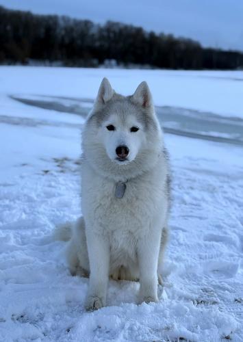 ����� � ����� ������������ �����