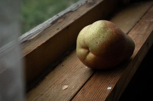 ����� �� �����������