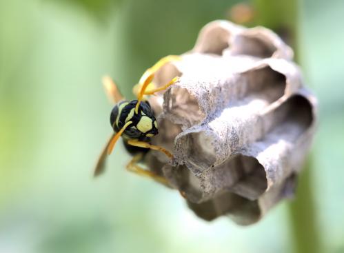 � � � ������ ����