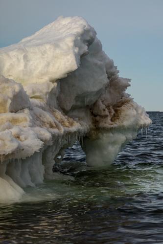 ������� ����� ����