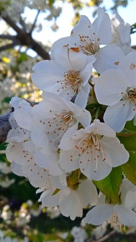 ������� ����� !