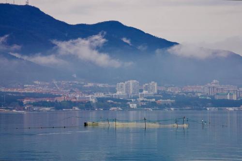 ������� ��� �������