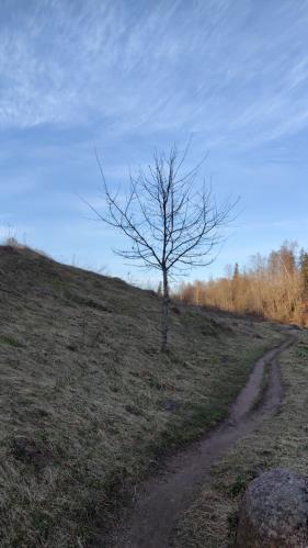 ���� � ����...