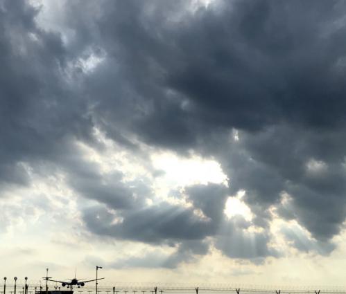 ���� ������� 