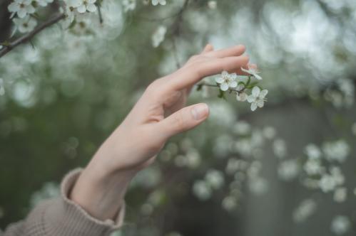 ����������...