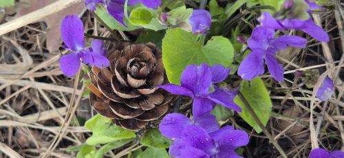 ����� � �������