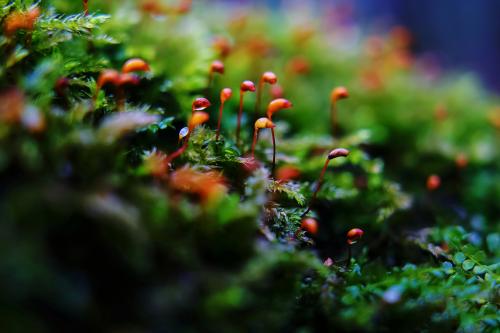 � �������� ���...