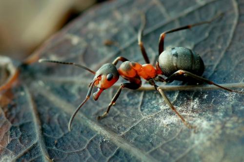 ����� ������ �������...