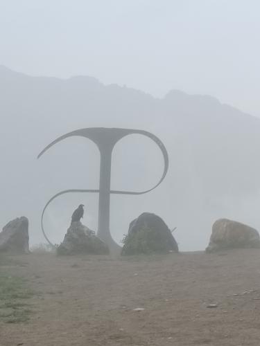 ������ ����