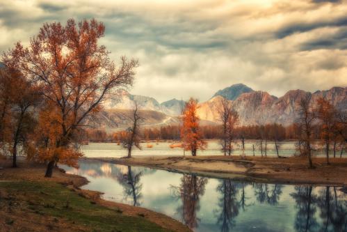 ������� ������ �������