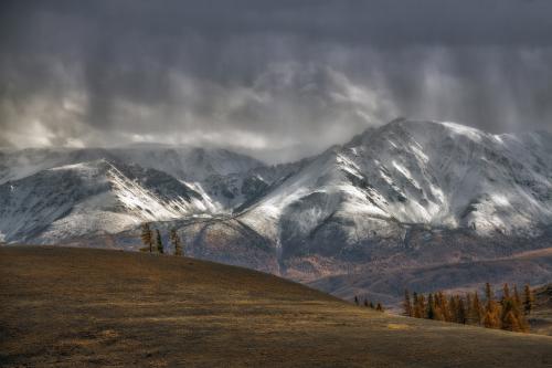 ����� ������ � �����. 