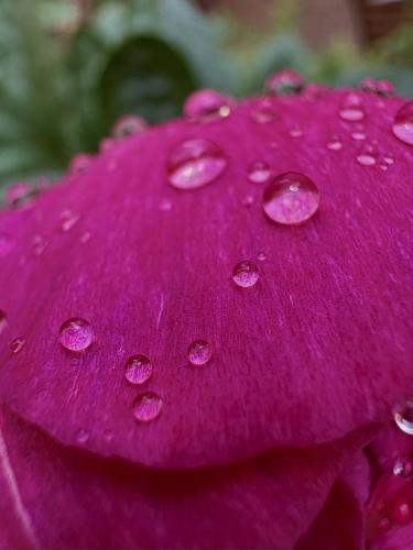 ����� ����� ����� �� �����. 