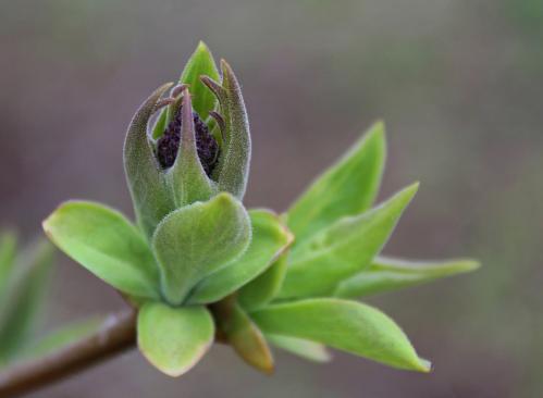 ��������-������