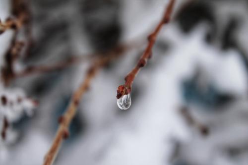 �������� ��������