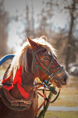 ��������� ���������. 