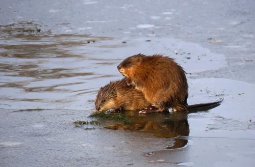 �������