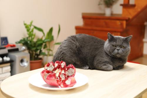 � �� �����, � ��� �� ��