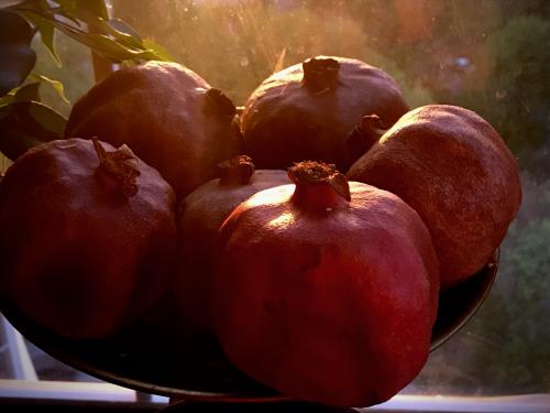 �������