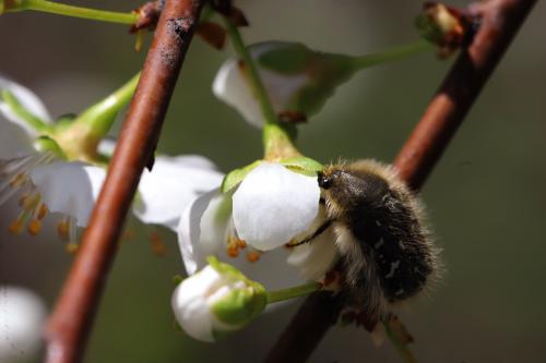 ��������� ��������