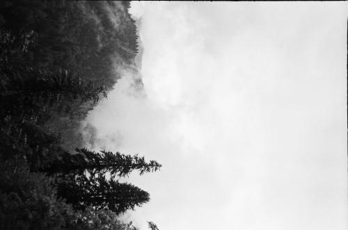 ���� ������� 