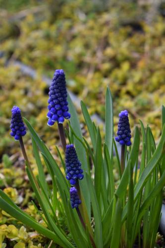 Ҹ���� �������� ���� 