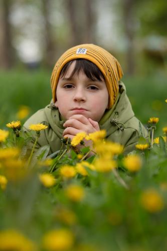 ������ � �����������