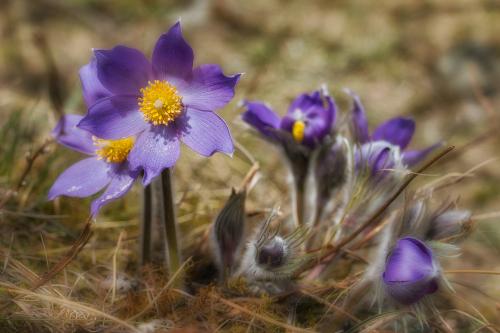 ���������� �����. 