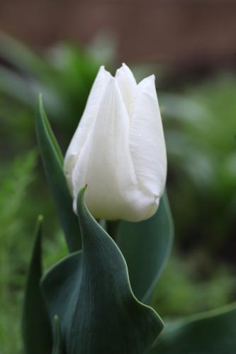 �������� ������� 