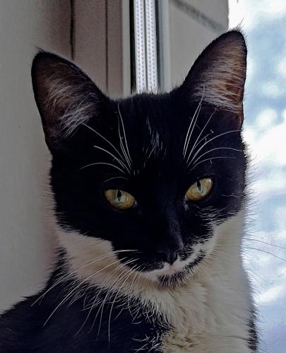 ������������ ��������