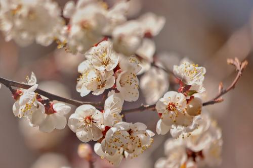 �������� ��������. 