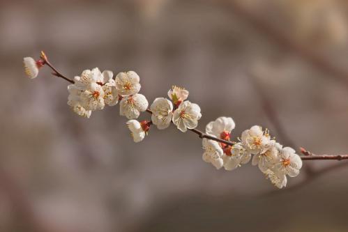 �������� �������. 