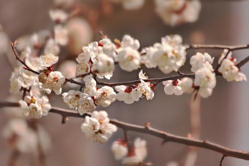 � ����� ����� ����������... 