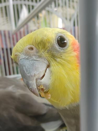 ���������) 