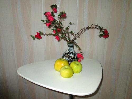 ���������.