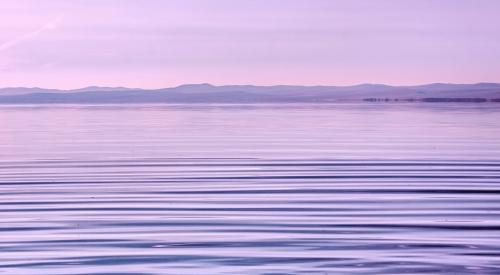 Violet