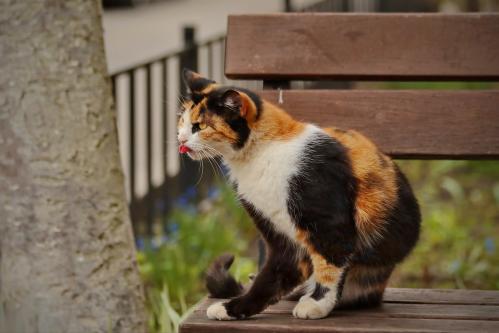 � ������ ���� ��� ���... 