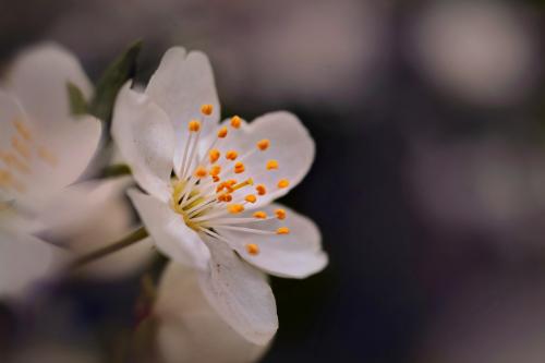 � ����� � ���������. 