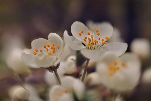 �������� �����. 