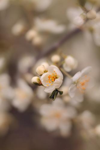 ����������� �����. 