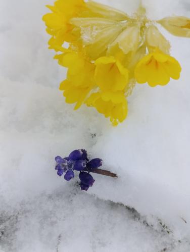 �� ��� � ��� ��������