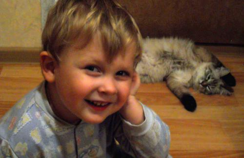 ������ � ������