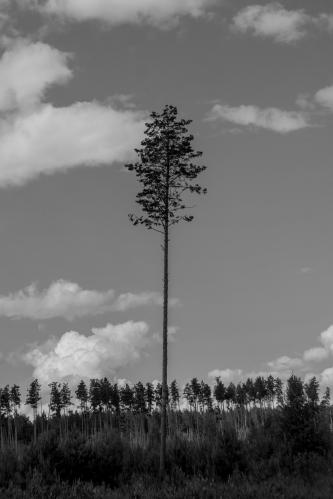 1780316148