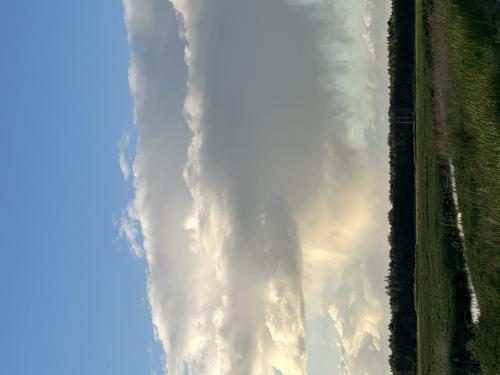1780818249