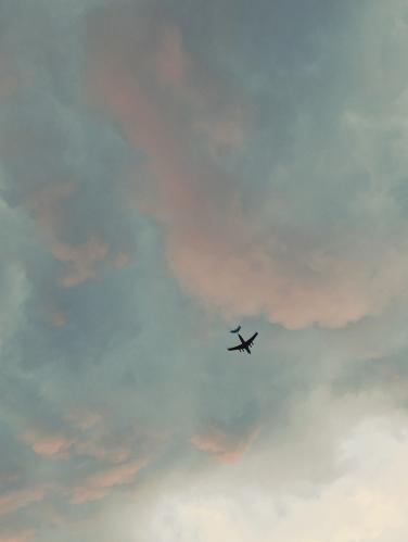 1780916824